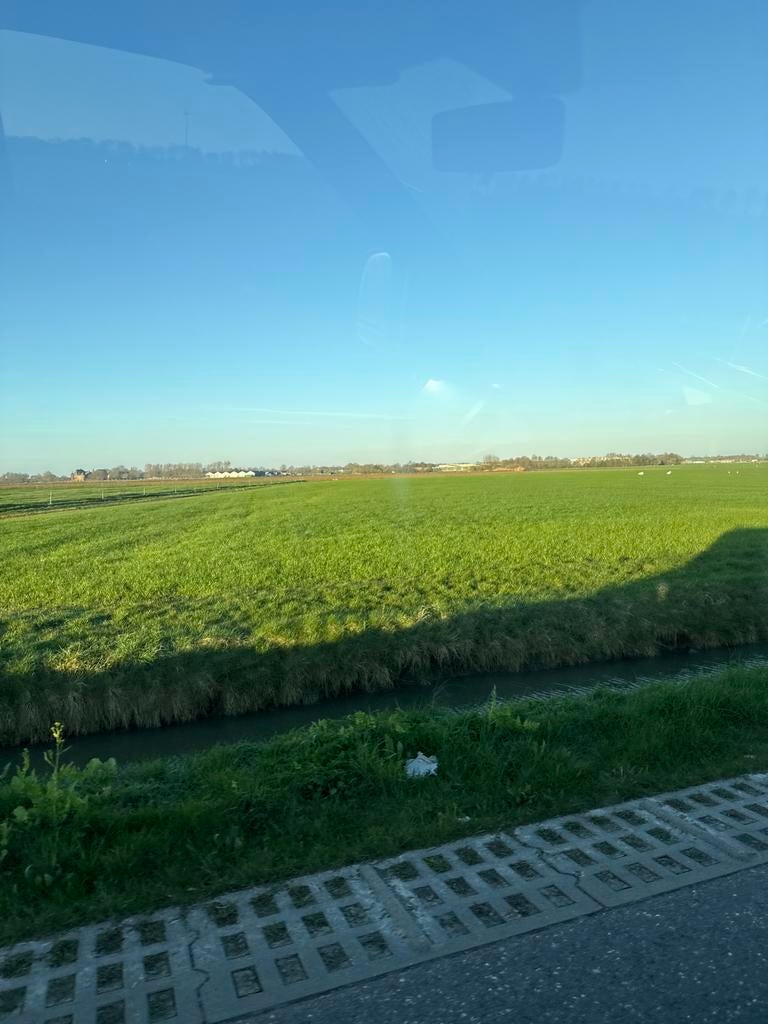 Damherten gevraagd, Februari, Meerdere dieren