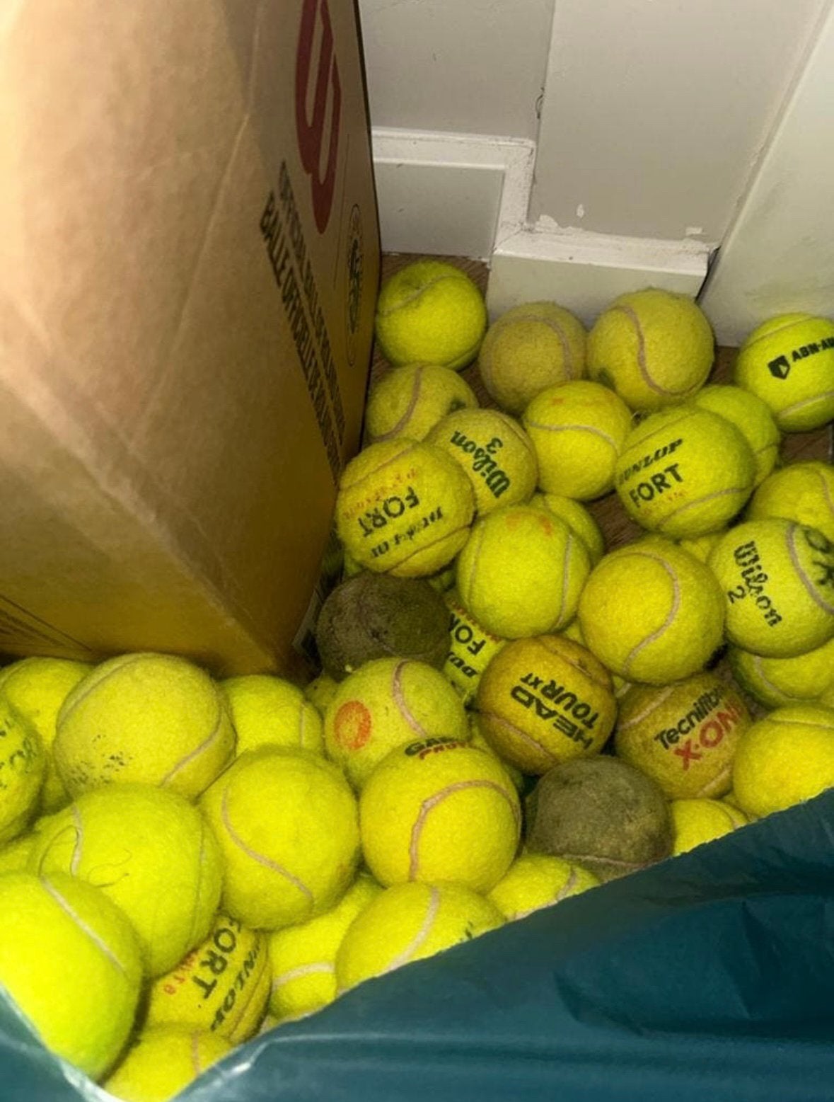Oude tennisballen, Ophalen of Verzenden, Gebruikt, Hondenballen