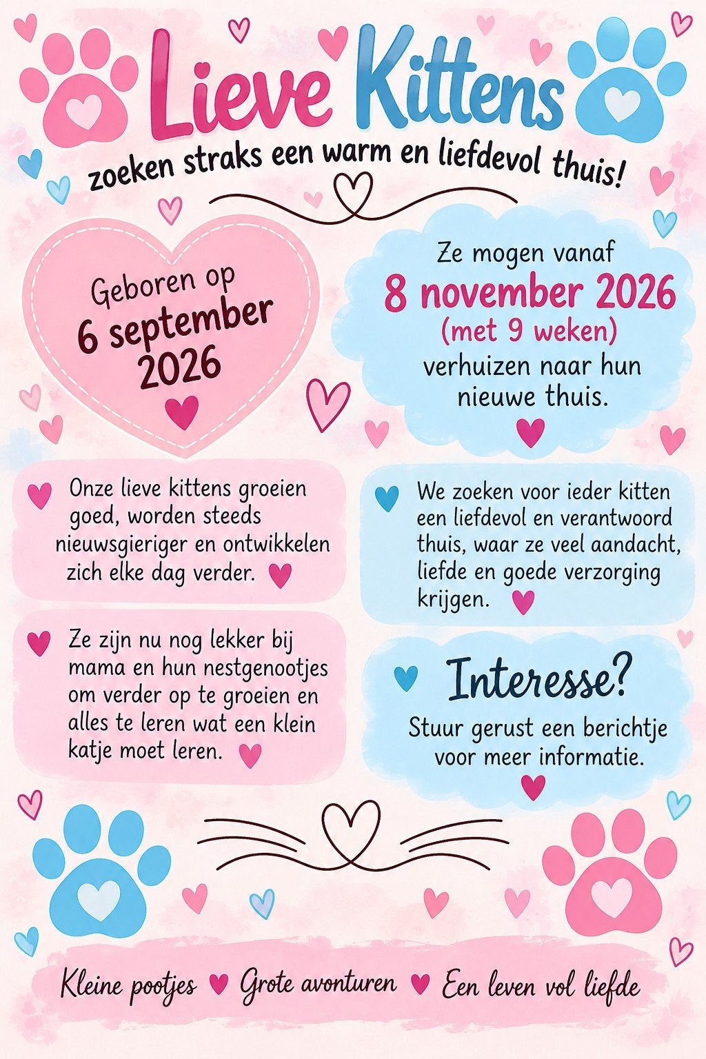 Lieve kittens zoeken een warm en liefdevol thuis, Meerdere dieren, Kortharig, 0 tot 2 jaar