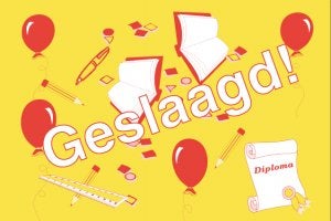 GESLAAGD vlag 70x100 cm voor aan vlaggenstok, Ophalen of Verzenden, Nieuw