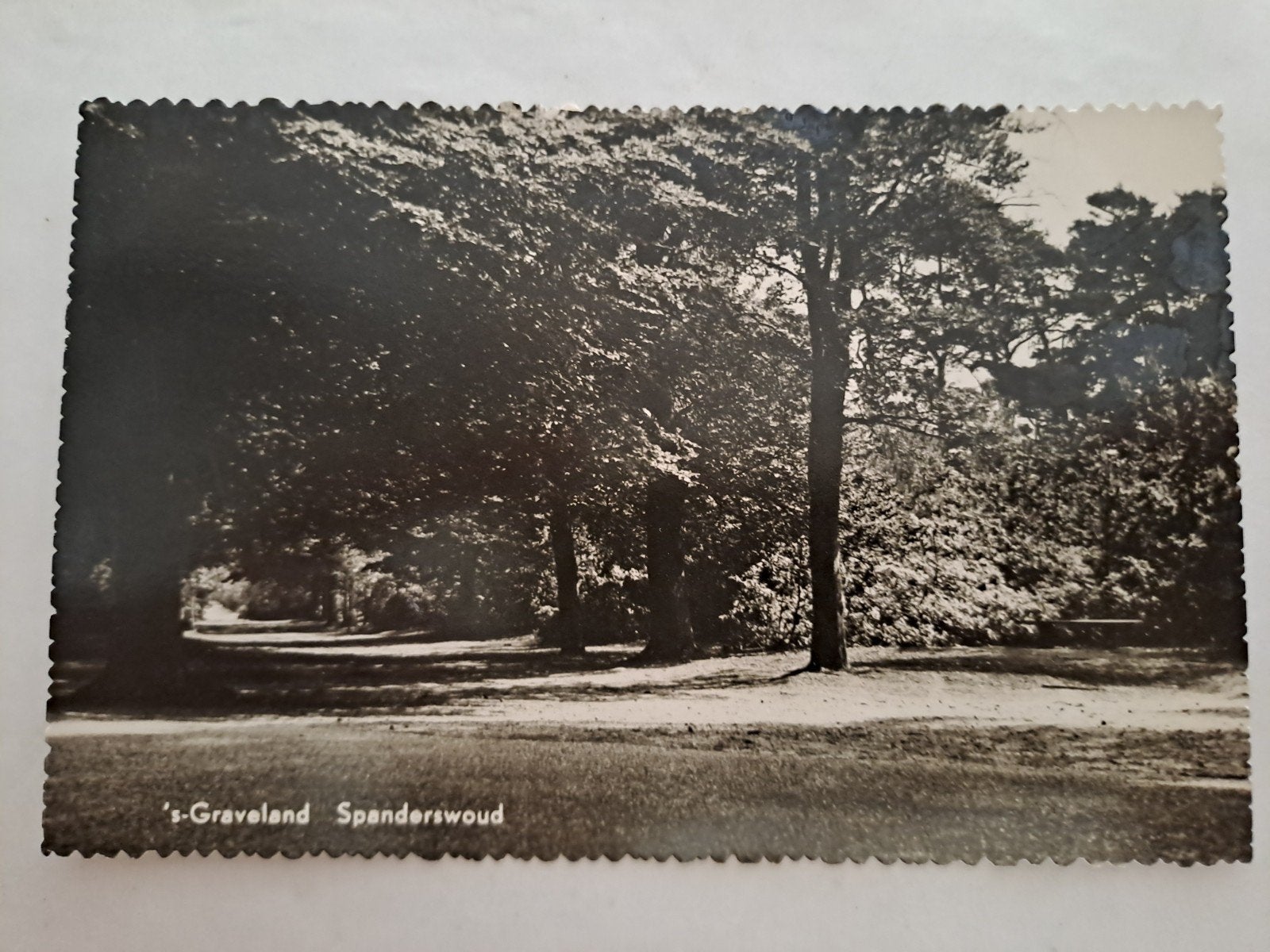 s Graveland,  spaanderswoud, Ophalen of Verzenden