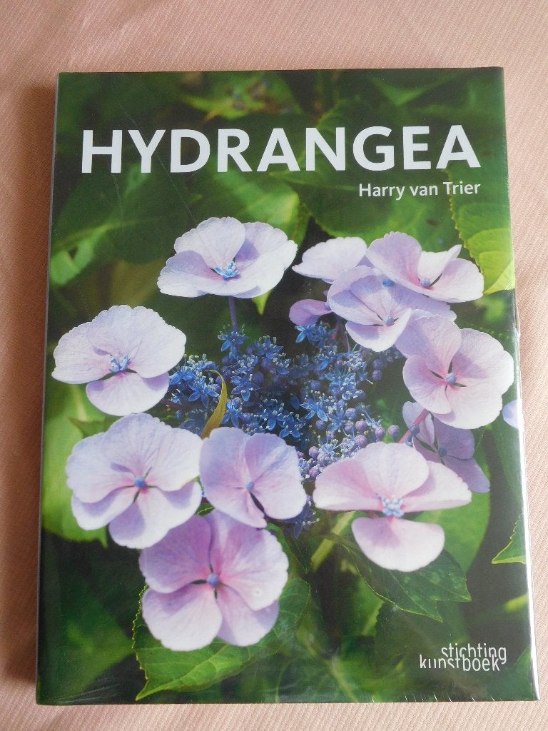 Hortensia / hydrangea, Overige soorten, Vaste plant, Ophalen of Verzenden, Halfschaduw