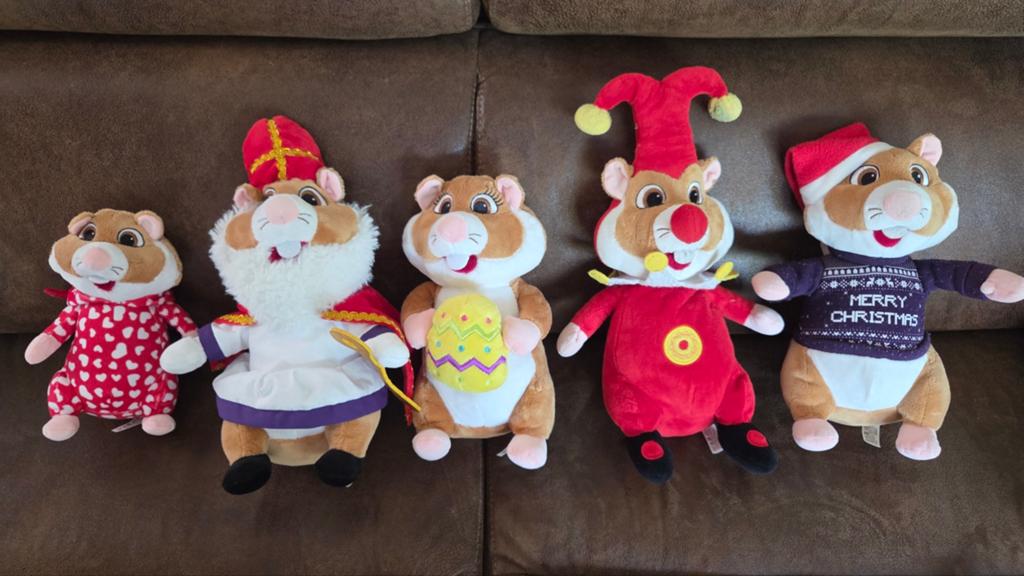 AH hamsters, Ophalen of Verzenden, Zo goed als nieuw, Overige typen