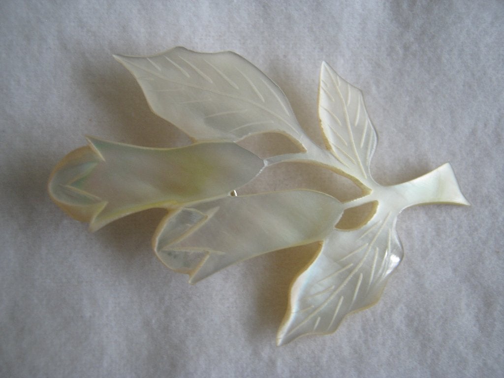 Parelmoer broche, Ophalen of Verzenden, Nieuw, Wit, Overige materialen