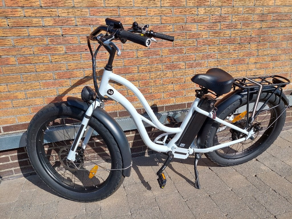 Electrische fiets, Ophalen, Zo goed als nieuw, Overige merken