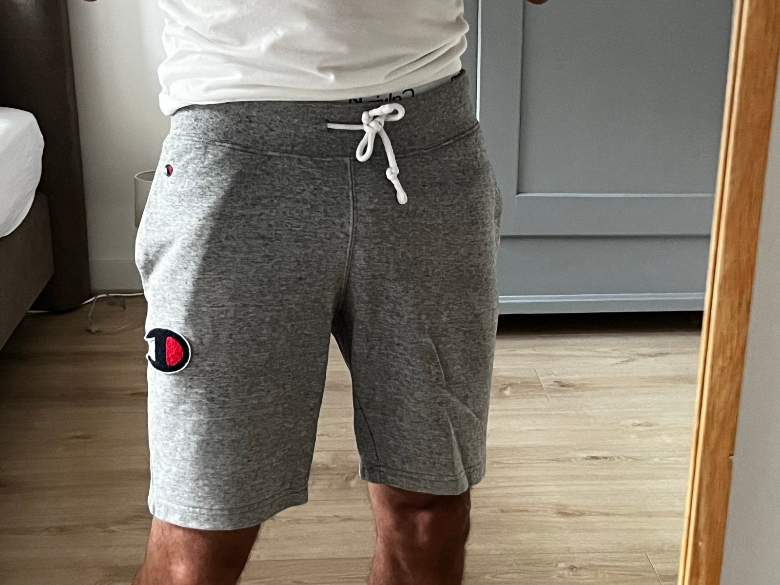 Champion Shorts Maat M, Kleding | Heren, Ophalen of Verzenden, Zo goed als nieuw, Maat 48/50 (M), Grijs