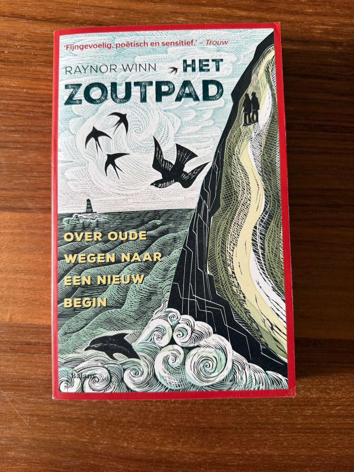 Raynor Winn Boeken: Het Zoutpad, De Wilde Stilte, Landlijnen, Ophalen of Verzenden, Zo goed als nieuw, Nederland