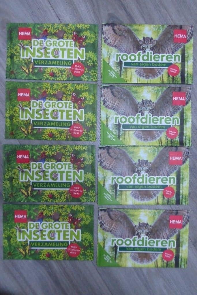 HEMA bouwpakketje van een Nederlands roofdier of insect, Nieuw, Ophalen of Verzenden, Papier of Karton, Educatief