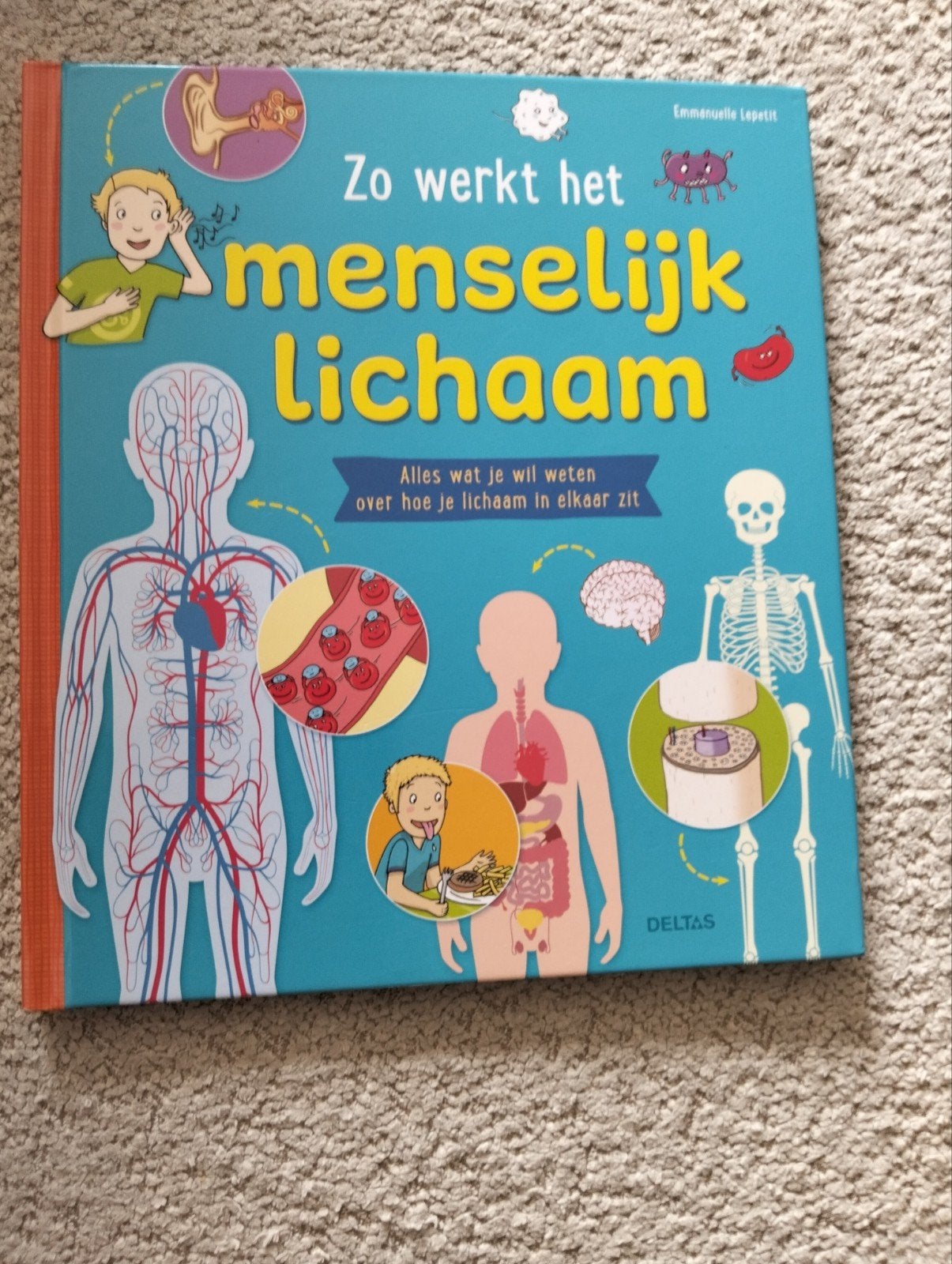 Emmanelle Lepetit - Zo werkt het menselijk lichaam, Ophalen of Verzenden, Zo goed als nieuw, Emmanelle Lepetit