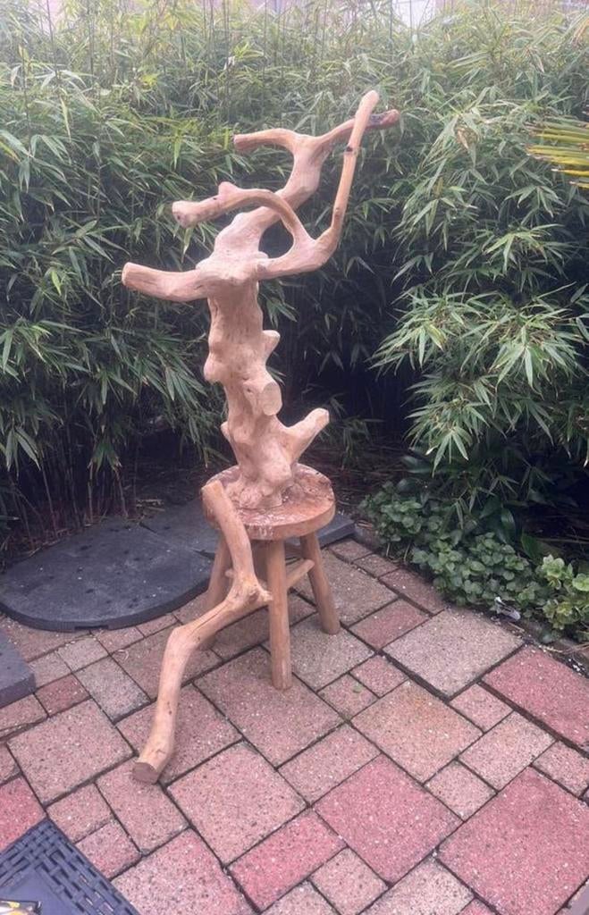 Stevige javaboom voor een papegaai of grote parkiet, Ophalen of Verzenden, Hout