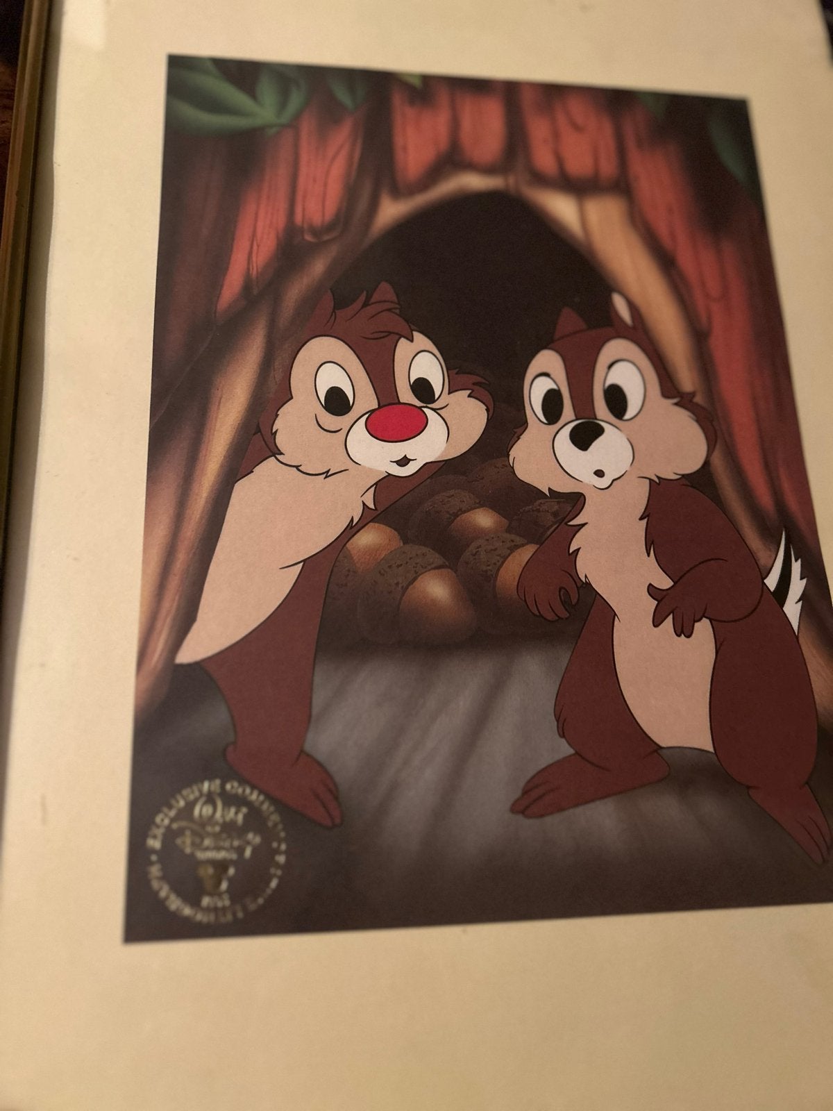 Knabbel en Babbel ingelijste lithografie 1998, Verzamelen, Disney, Ophalen of Verzenden, Overige figuren, Gebruikt, Plaatje of Poster