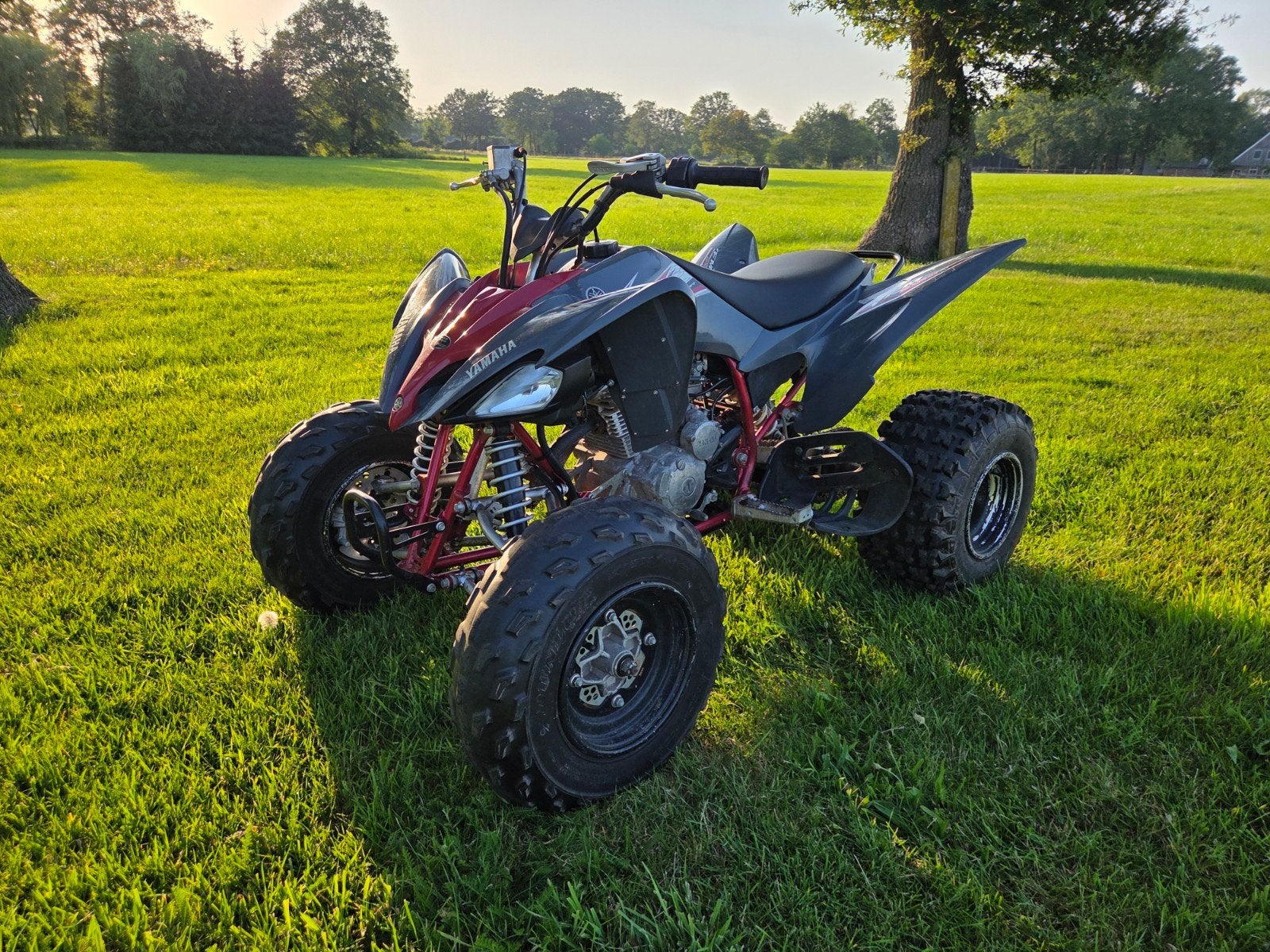 Yamaha Raptor YFM 250R Quad