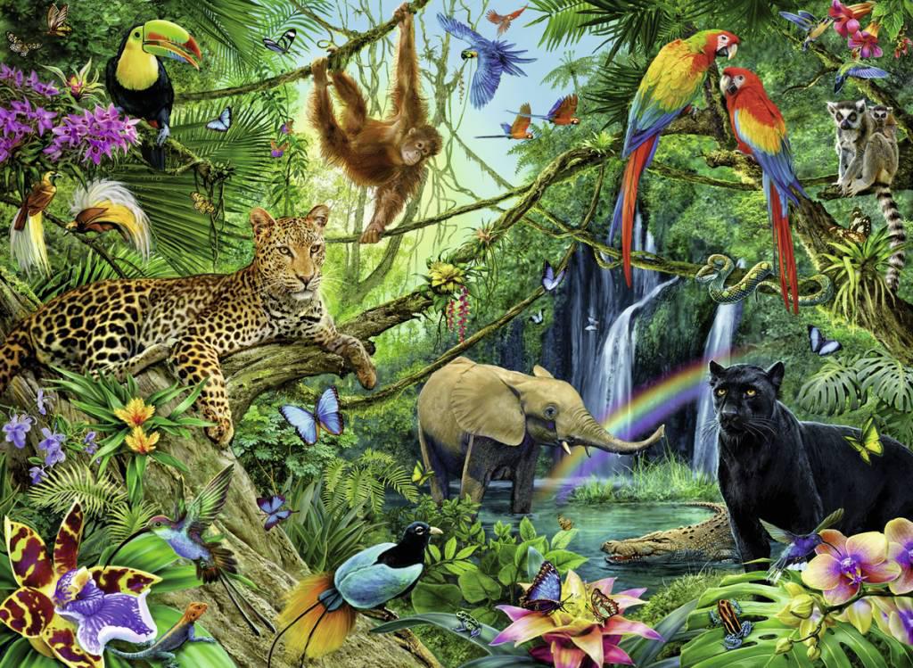 GEZOCHT: jungle / safari dierenknuffels - decoratie, Ophalen