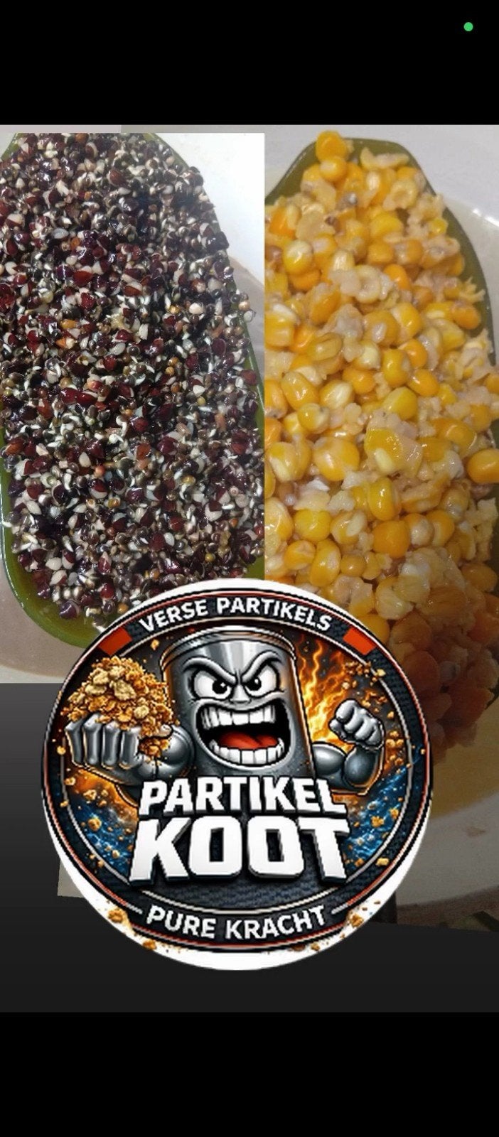 karpervissen, Ophalen of Verzenden, Zo goed als nieuw, Overige typen