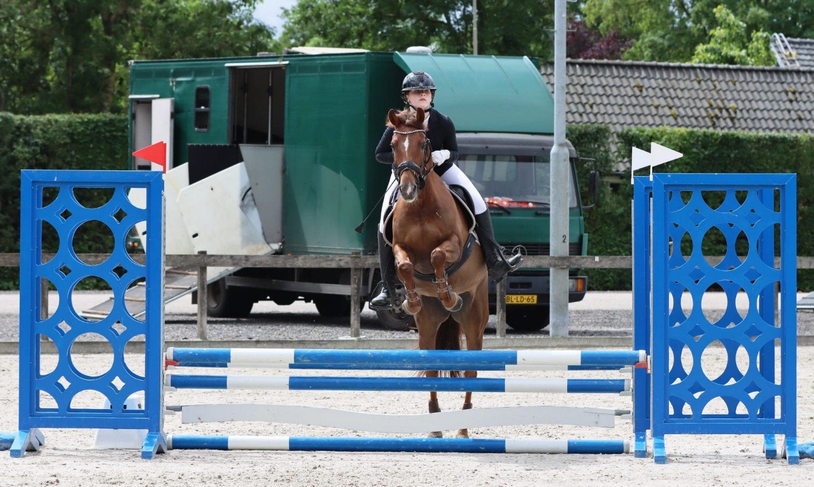 Super leuke allround New Forest D pony 💖, Dieren en Toebehoren, Merrie, Met stamboom, L, 11 jaar of ouder