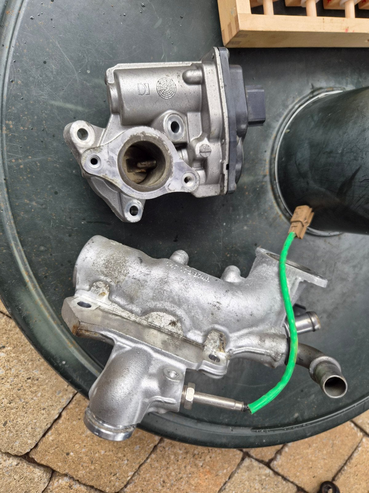 Goed werkende EGR set voor Kangoo, Citan, Mercedes, Ophalen, Gebruikt, Mercedes-Benz