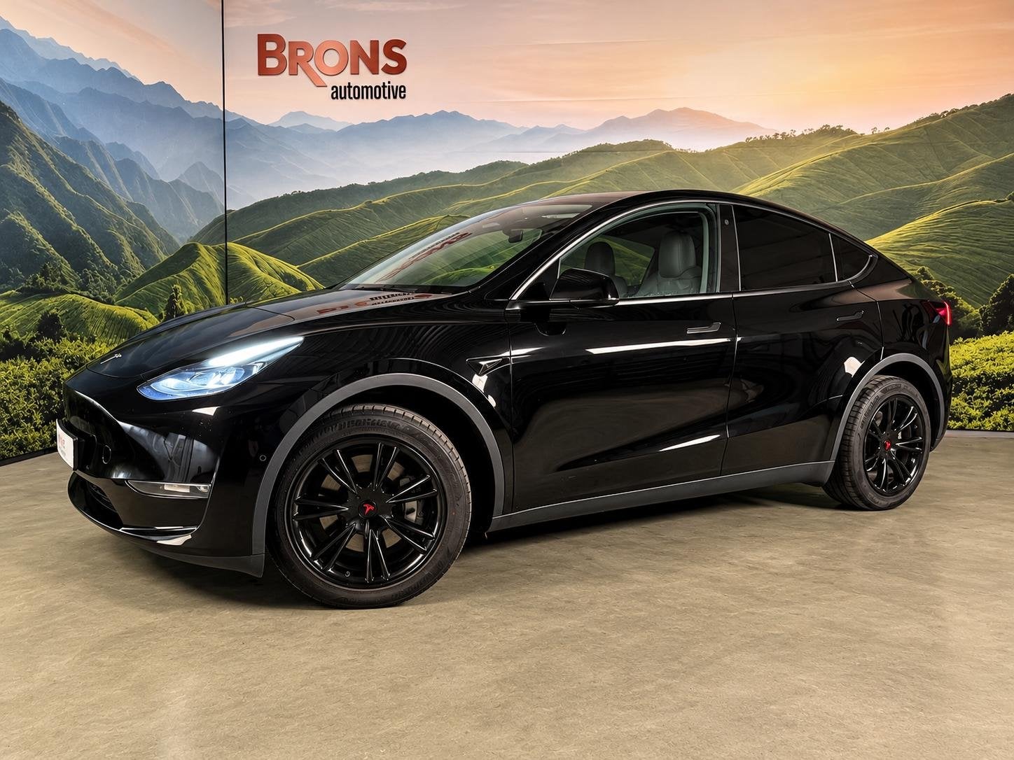 Tesla Model Y Long Range Dual Motor AWD 75 kWh, Auto's, Automaat, Stof, Gebruikt, 495 min
