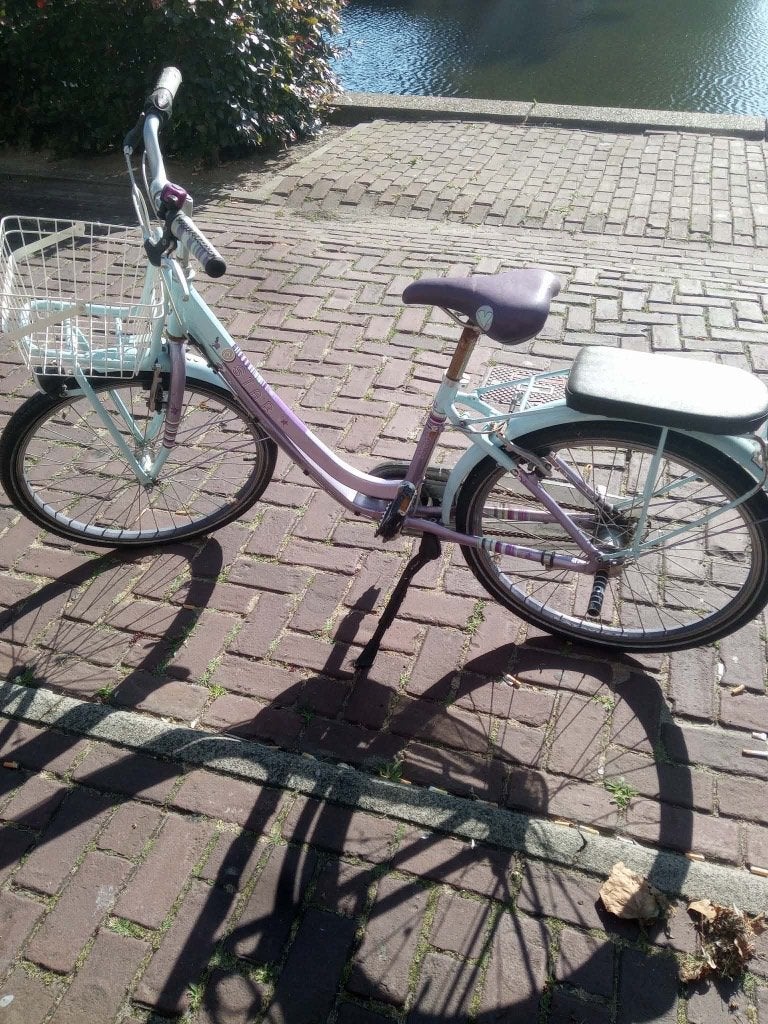 Fiets 20 inch, Ophalen, 20 inch of meer, Gebruikt, Batavus