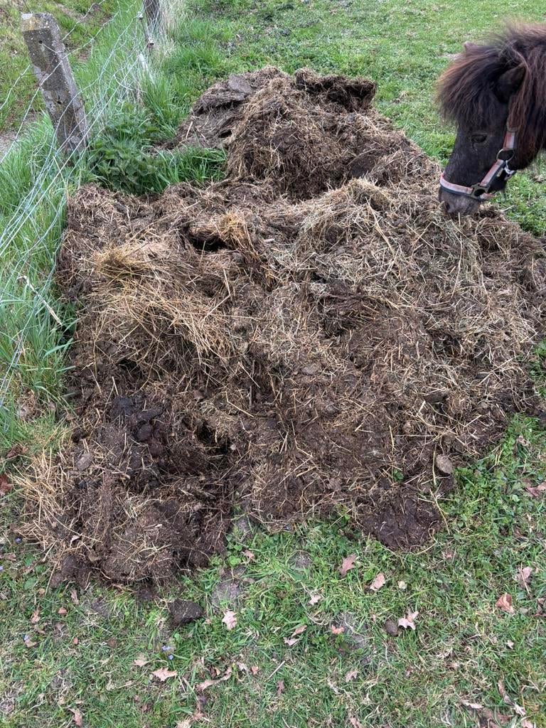 Gratis mest!, Tuin en Terras, Aarde en Mest, Ophalen of Verzenden, Mest