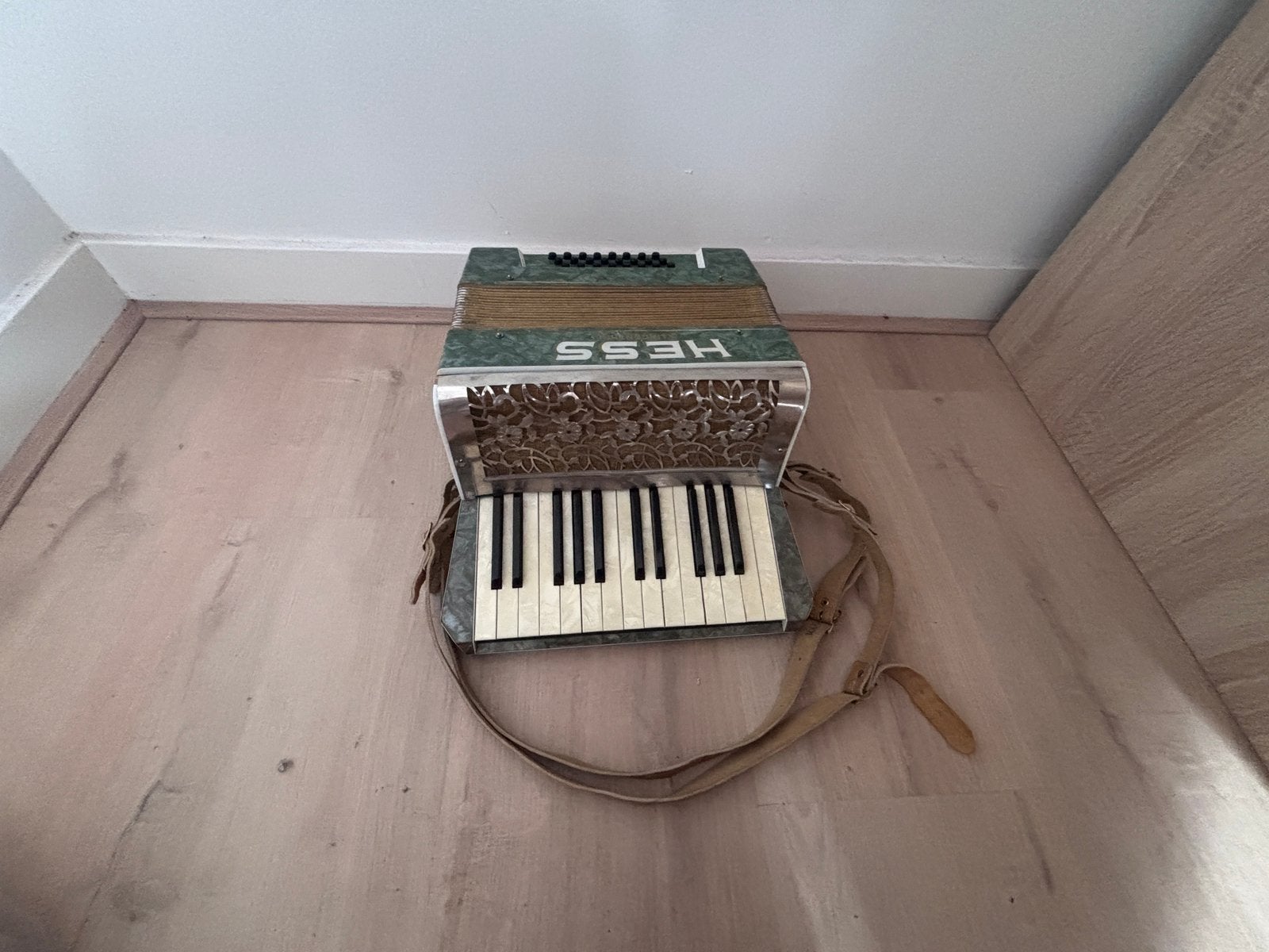 Accordeon, Ophalen, Zo goed als nieuw, Overige formaten, Overige merken