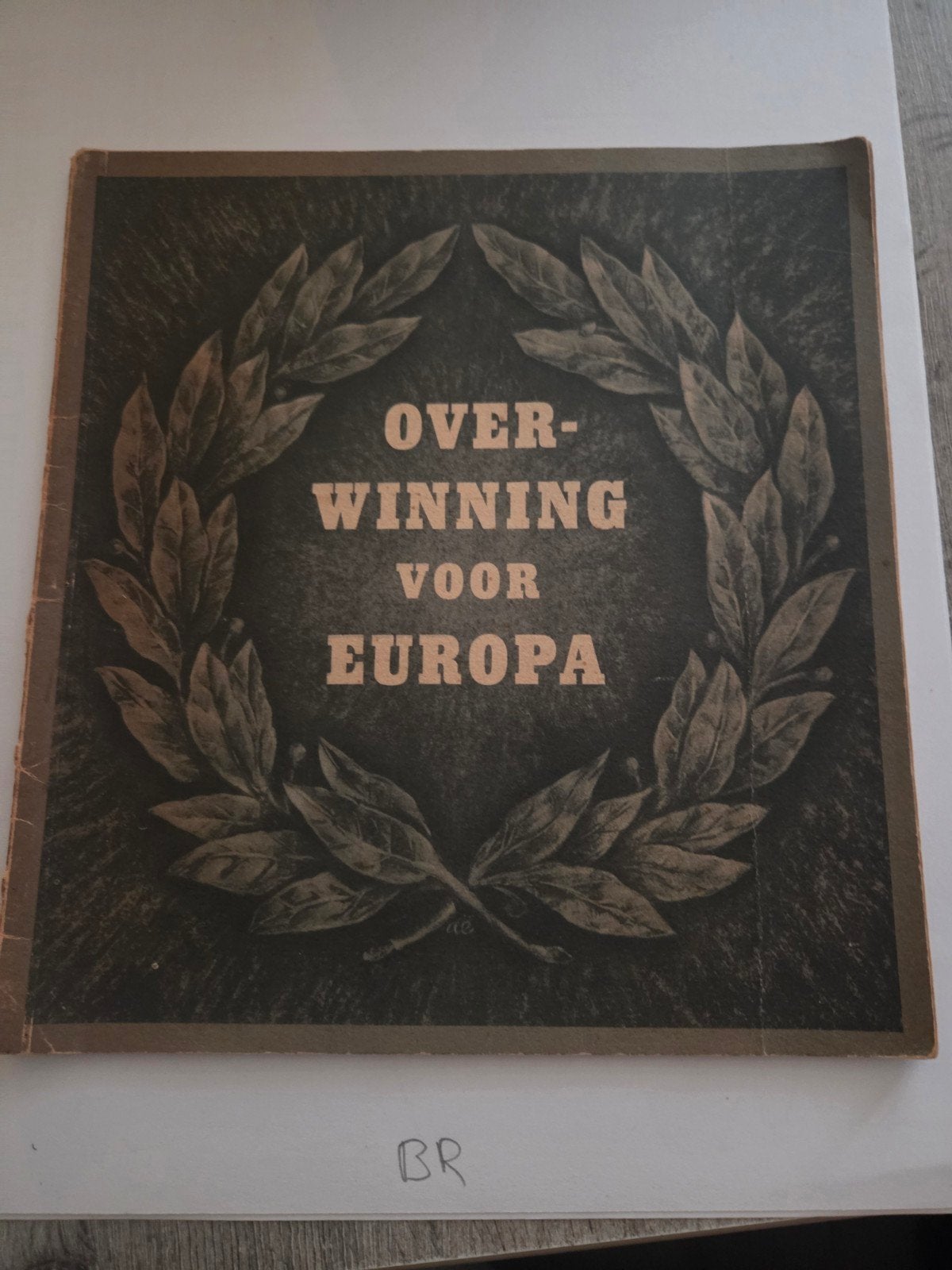 Overwinning voor Europa - Historisch document WOII, Boeken, Ophalen of Verzenden, Algemeen, Gelezen, Tweede Wereldoorlog