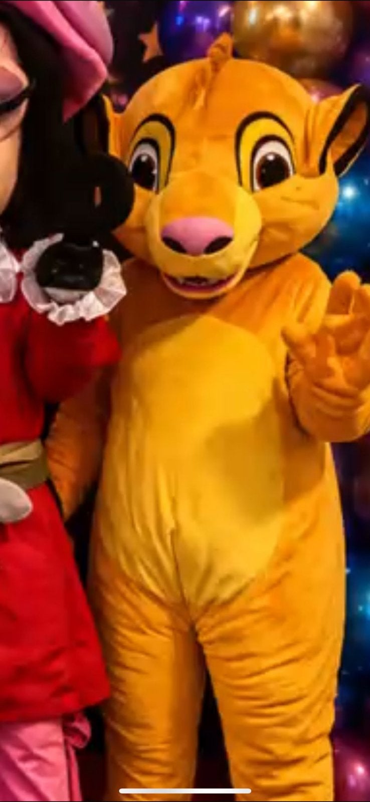 Mascotte simba, Ophalen, Zo goed als nieuw, Verjaardag