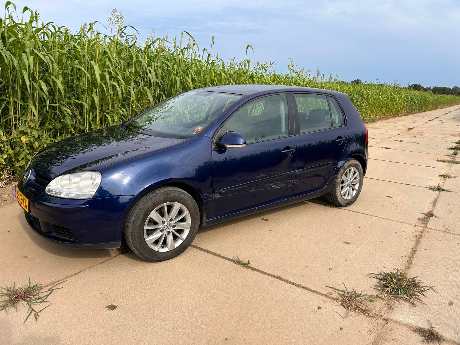 Schade auto Volkswagen Golf 1.6 75KW 2008 Blauw, Voorwielaandrijving, 4 cilinders, Blauw, 620 kg