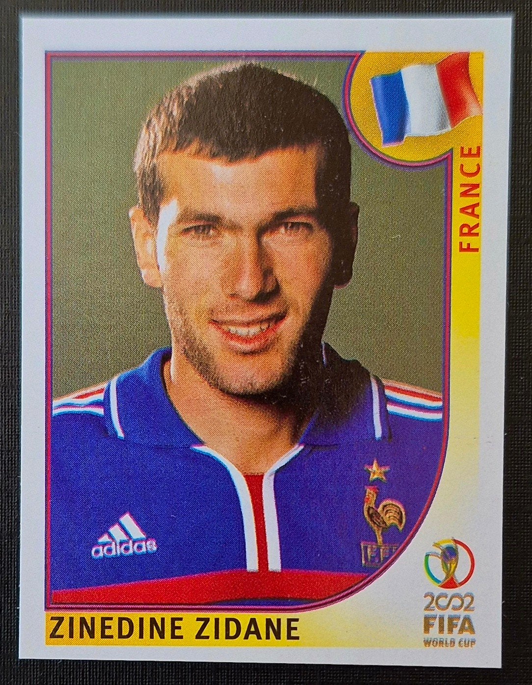 Panini Zinedine Zidane - Frankrijk, WK 2002, Ophalen of Verzenden, Zo goed als nieuw, Sticker