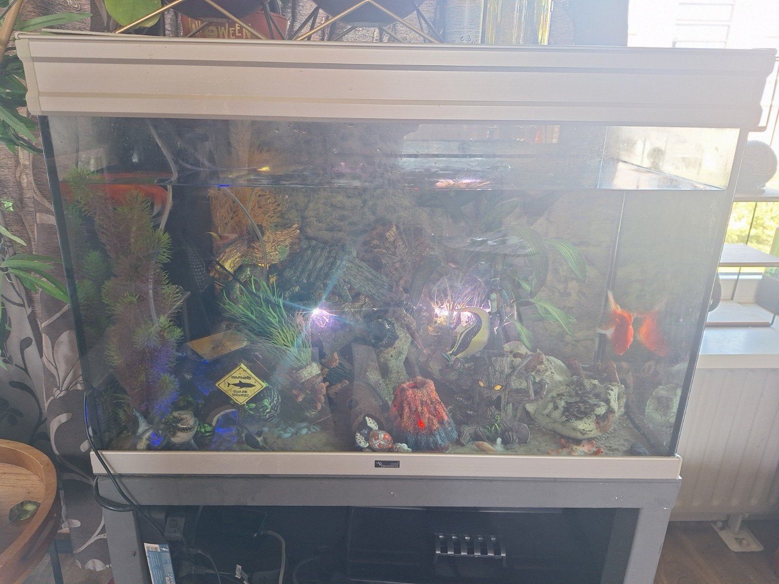 mooi groot aquarium met luxe alementen, Dieren en Toebehoren, Ophalen of Verzenden, Zo goed als nieuw