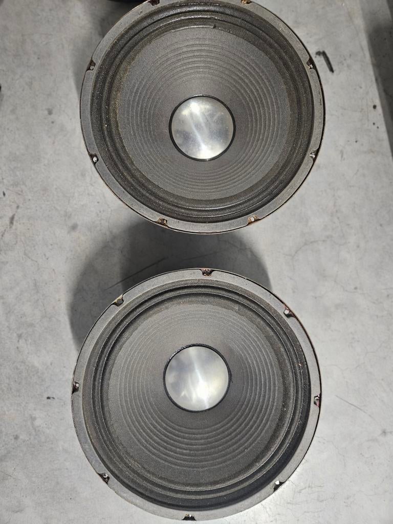 VOX 12-inch speakerset 8 ohm, Ophalen of Verzenden, Gebruikt, Overige merken