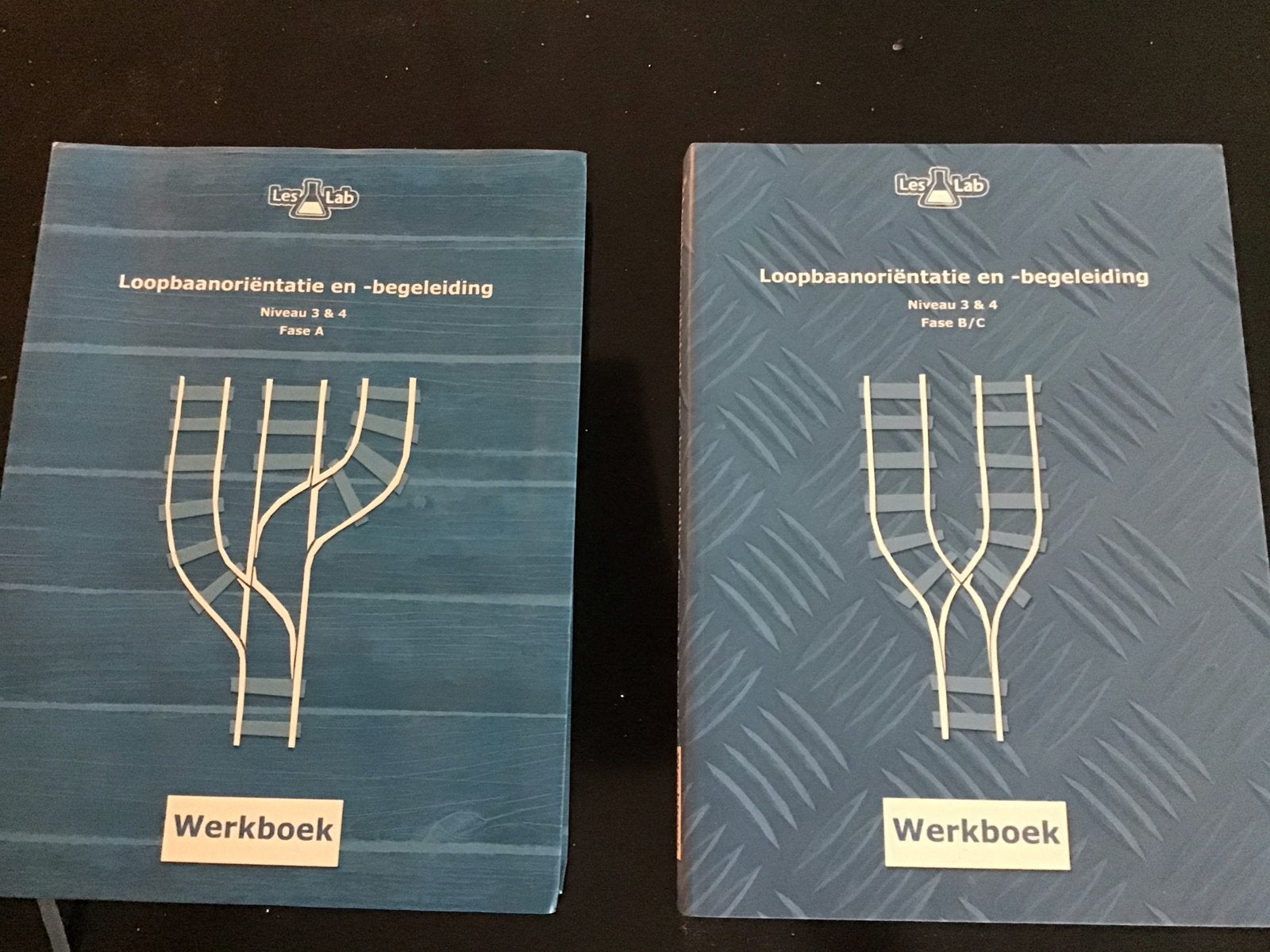 LesLab Loopbaanoriëntatie & -begeleiding Werkboeken, Boeken, Ophalen of Verzenden, Zo goed als nieuw, MBO