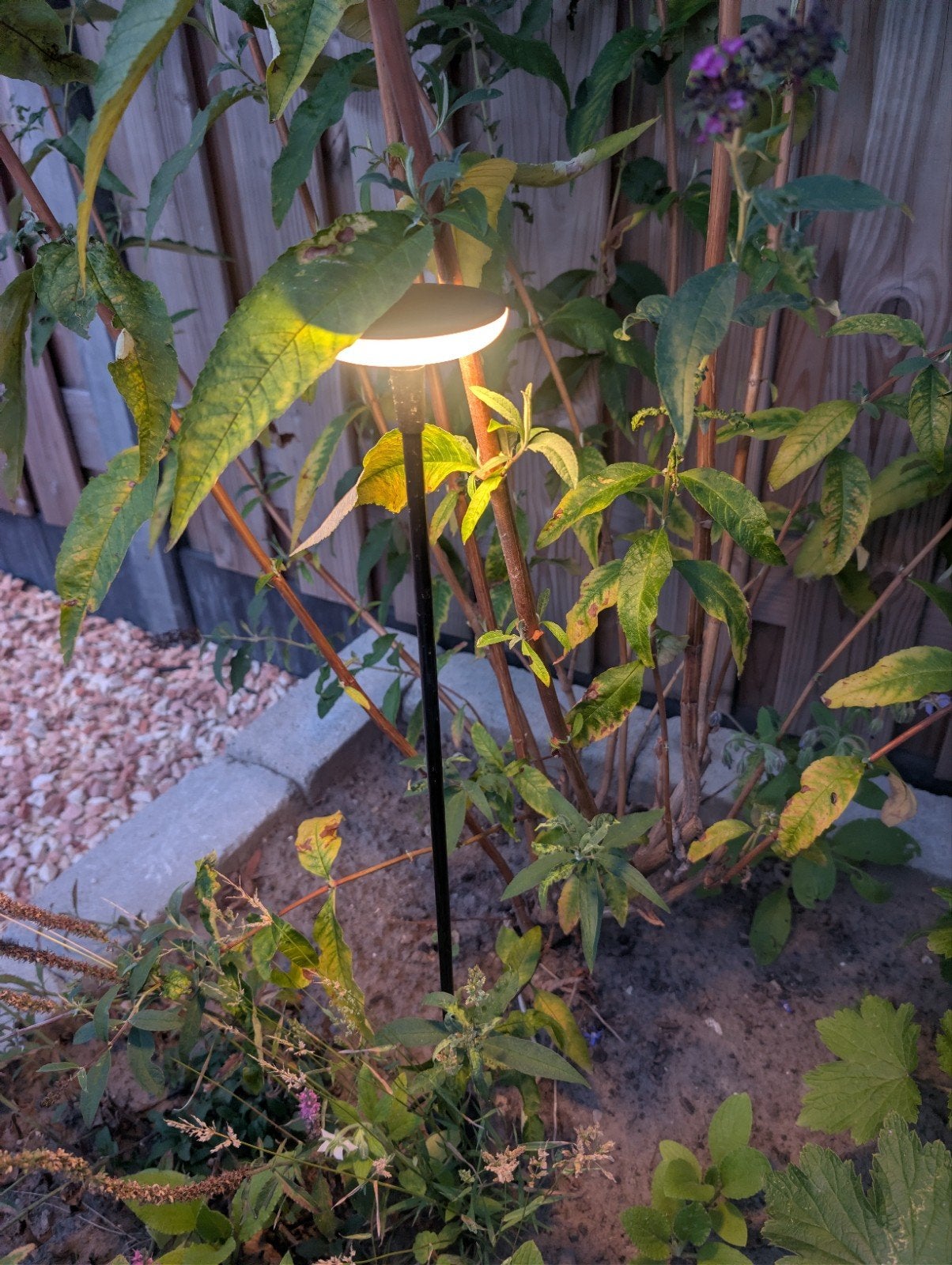 Luxe in-lite Tuinverlichting Set Zwart (HUB-50, 2x Ace, 2x S, Tuin en Terras, Buitenverlichting, Ophalen, Minder dan 50 watt, Spots