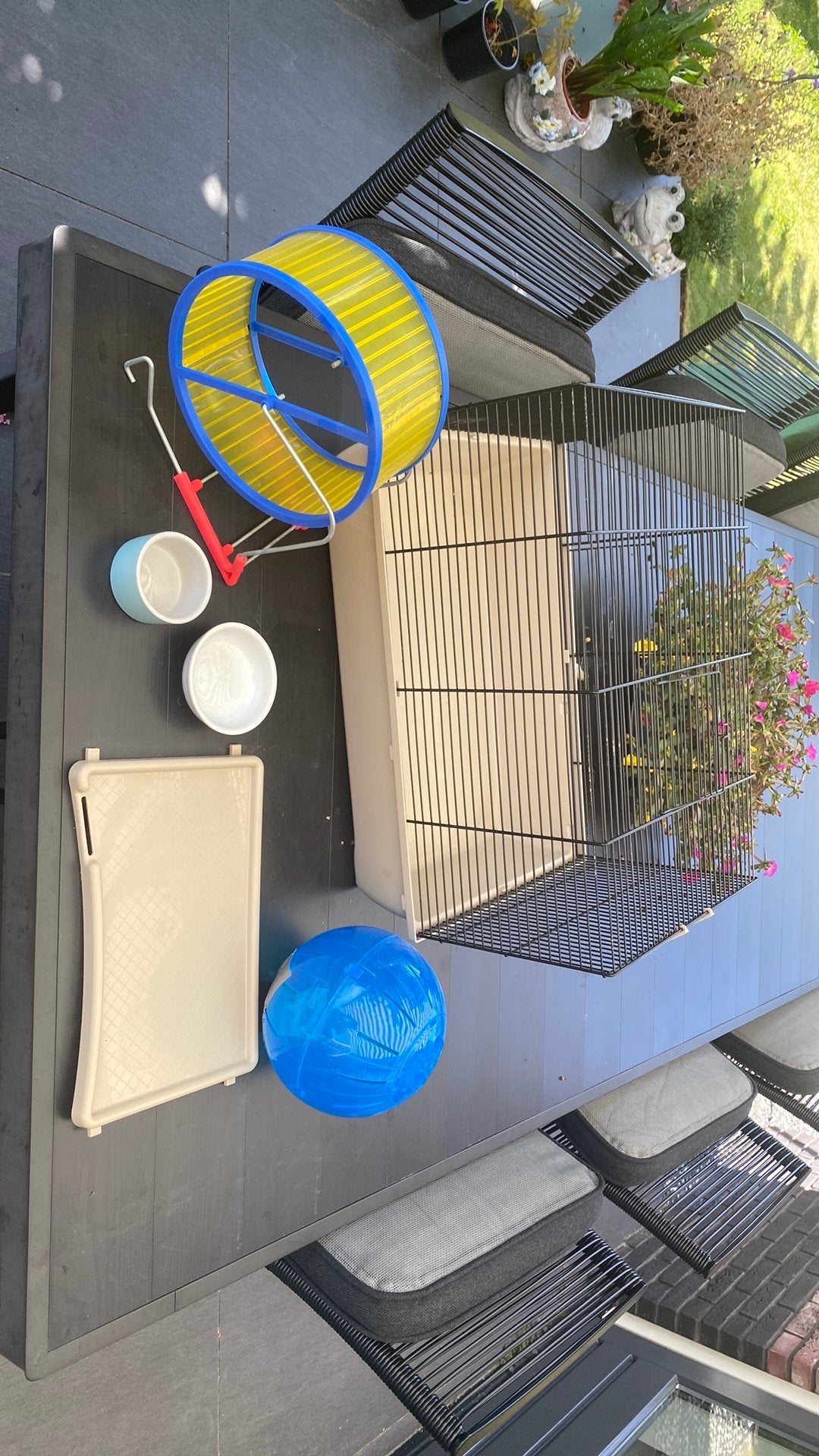 Hamster Kooi met accesoires, Dieren en Toebehoren, Knaagdieren en Konijnen | Hokken en Kooien, Ophalen of Verzenden