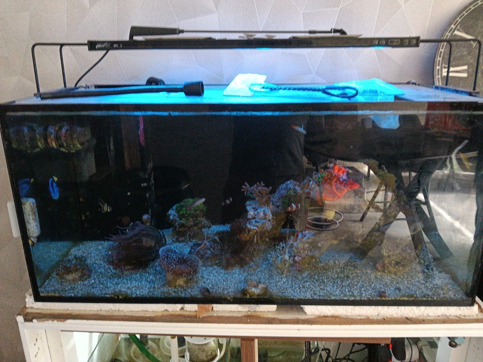 Aquarium 400 liter, Ophalen, Gebruikt, Leeg aquarium