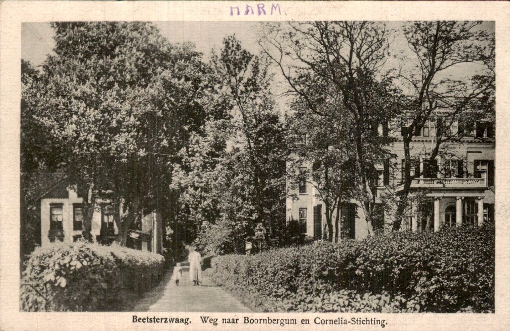 Beetsterzwaag - Weg naar Boornbergum - Cornelia-Stihting, Ophalen of Verzenden, Voor 1920, Gelopen, Friesland