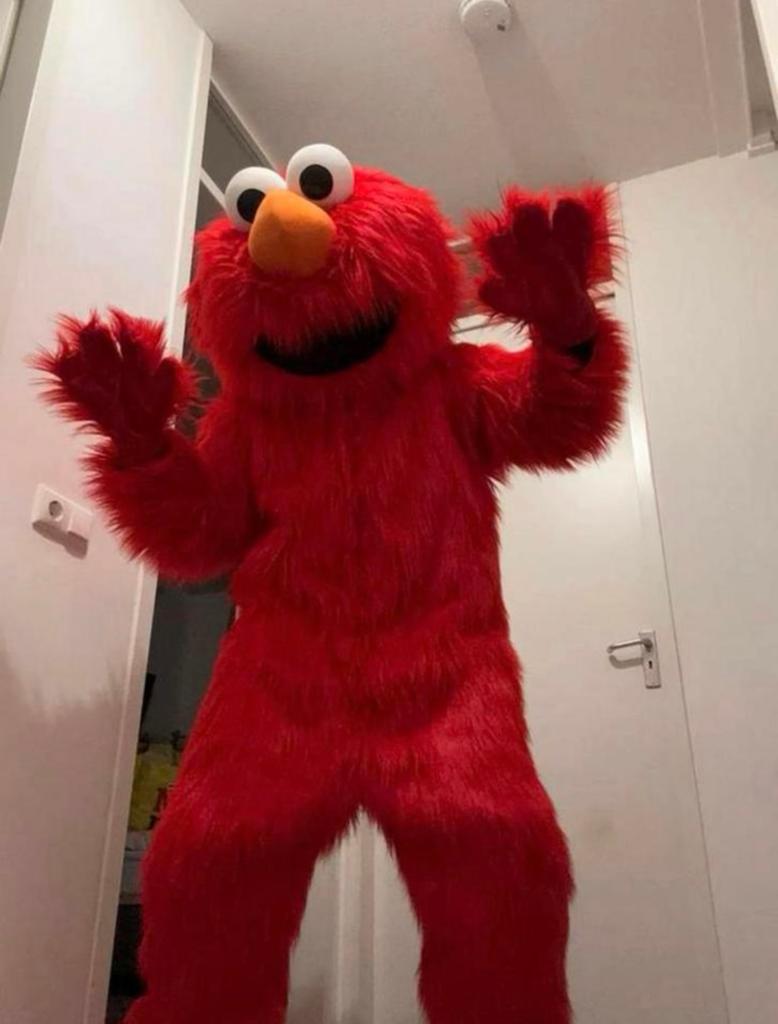 ELMO MASCOTTE VERHUUR, Ophalen of Verzenden, Zo goed als nieuw, Verjaardag