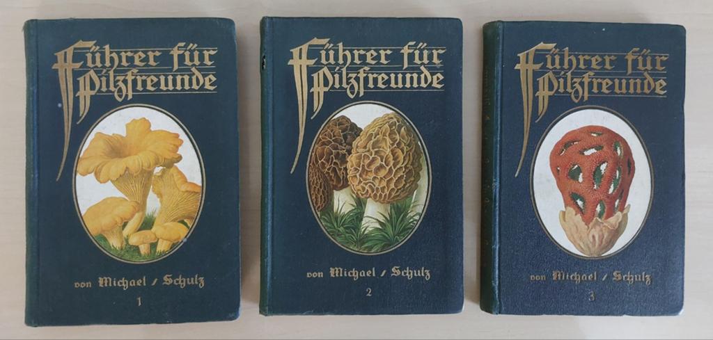 Paddestoelen gidsen  - Edmund Michael - 3 delen, Boeken, Natuur, Ophalen of Verzenden, Gelezen, Natuur algemeen, Edmund Michael