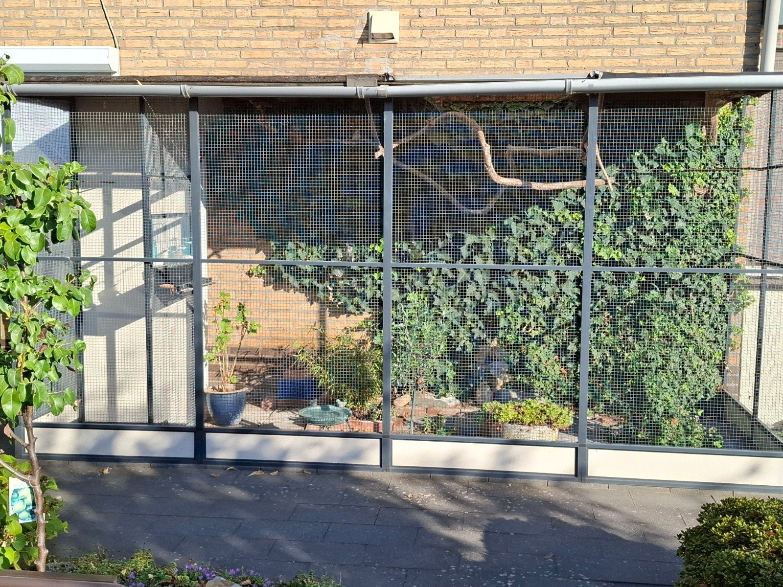 voliere, Dieren en Toebehoren, Vogels | Hokken en Kooien, Ophalen, Aluminium, Volière