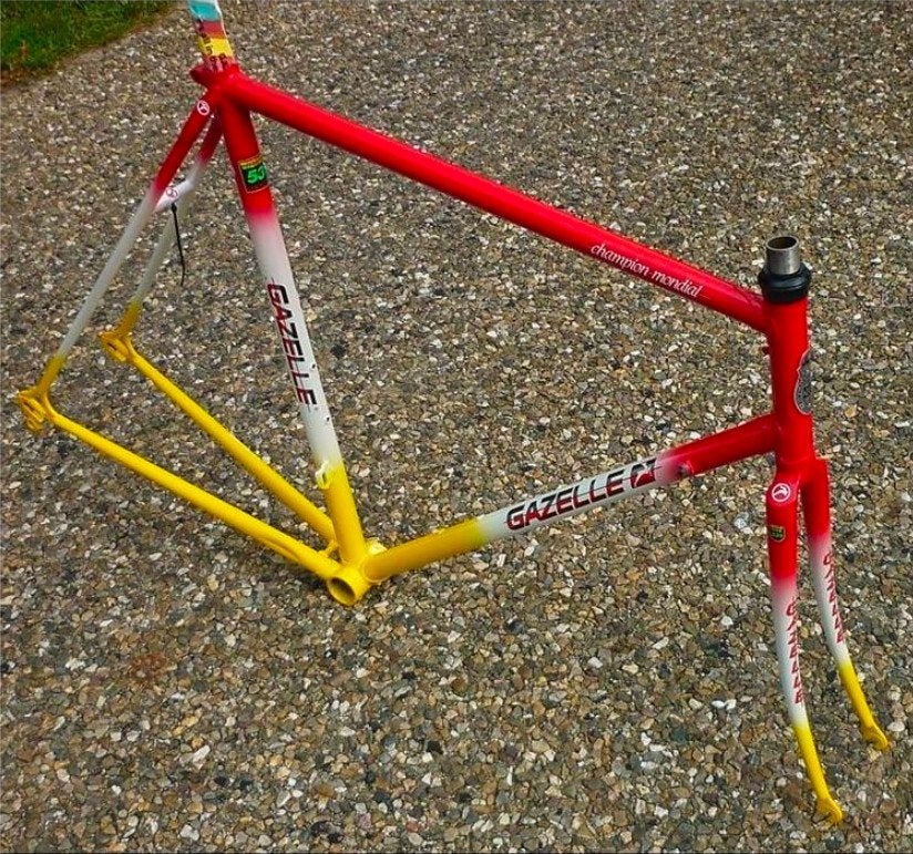 Gezocht: Gazelle Champion mondial frame 52cm, Gebruikt, 49 tot 53 cm, Ophalen of Verzenden, Gazelle