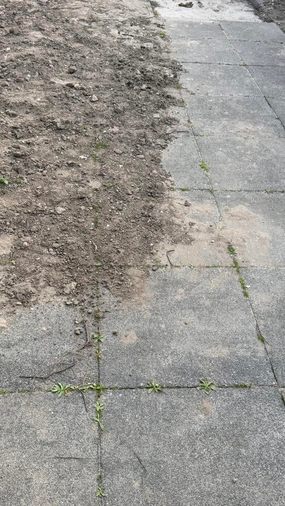 64x Tuintegels 60x60x6 cm - Gratis af te halen, Ophalen, Gebruikt, 10 m² of meer, Beton