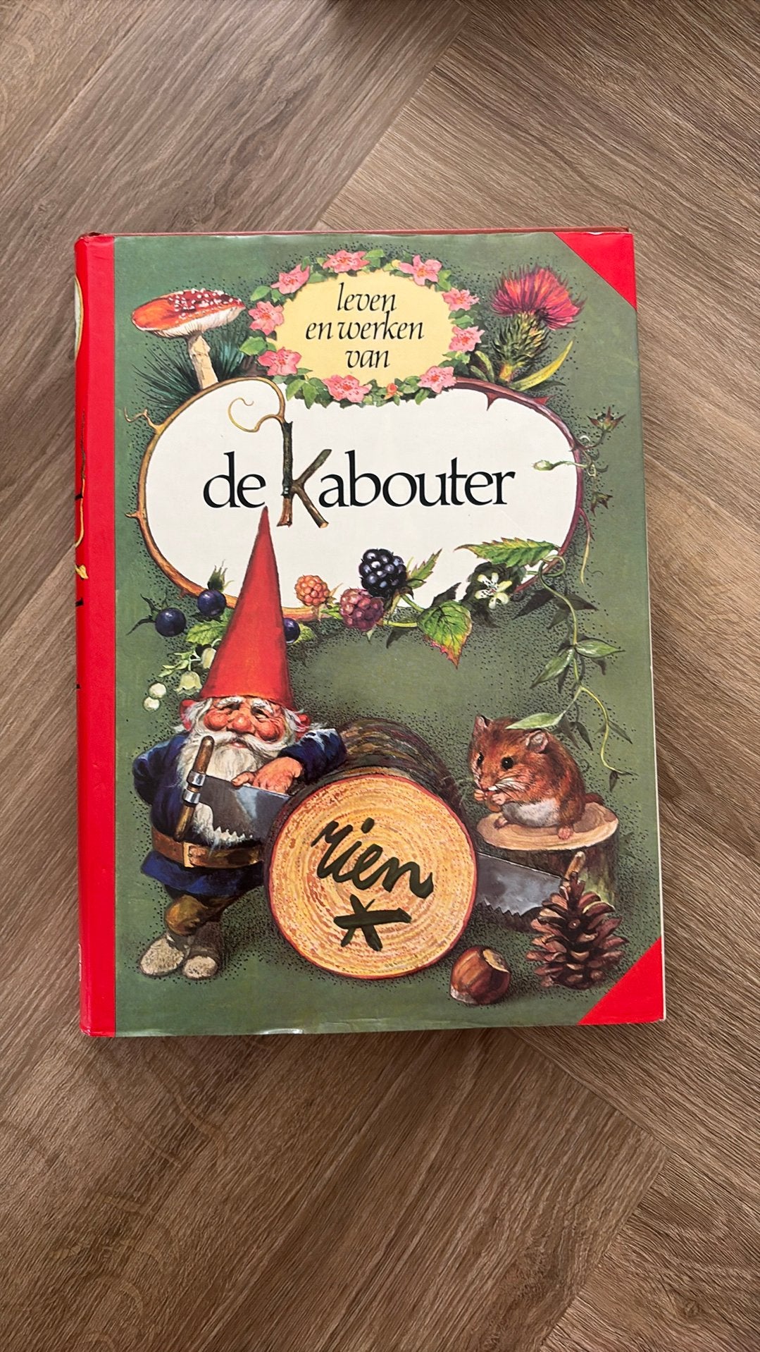 De kabouter, Rien Poortvliet, Ophalen of Verzenden, Zo goed als nieuw