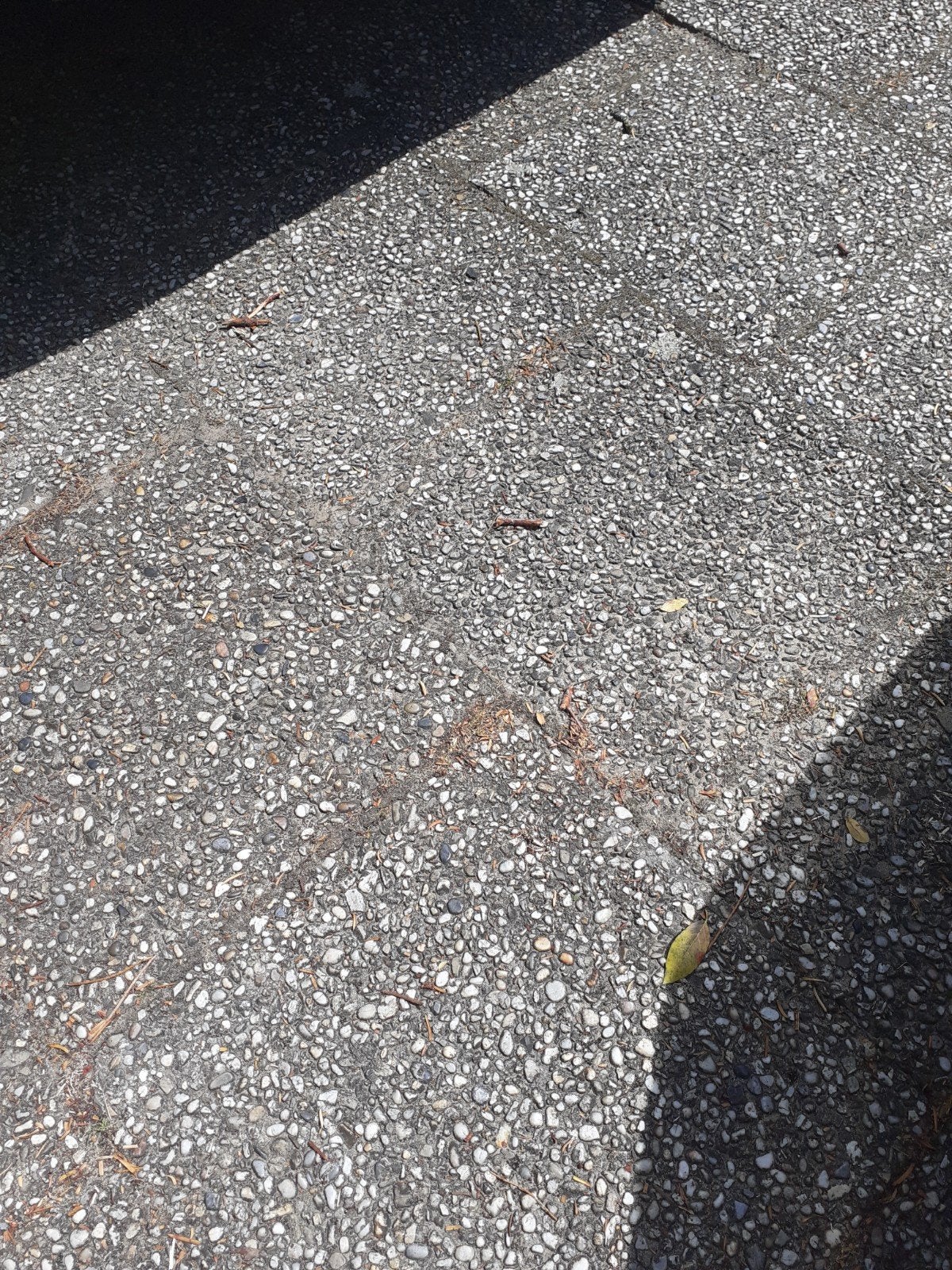 Grindtegels gratis, Tuin en Terras, Ophalen, Gebruikt, 10 m² of meer, Beton