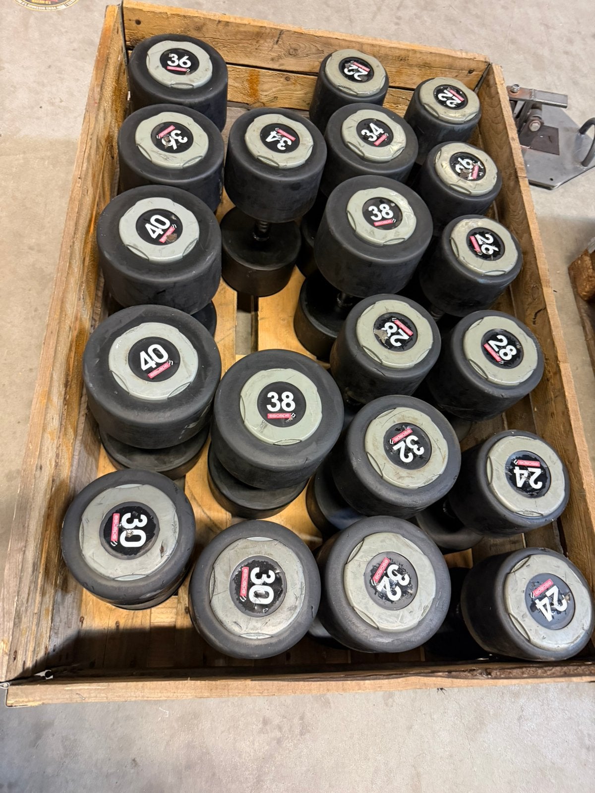 Vaste Rubberen Dumbells 22kg t/m 50kg + 2 Rekken