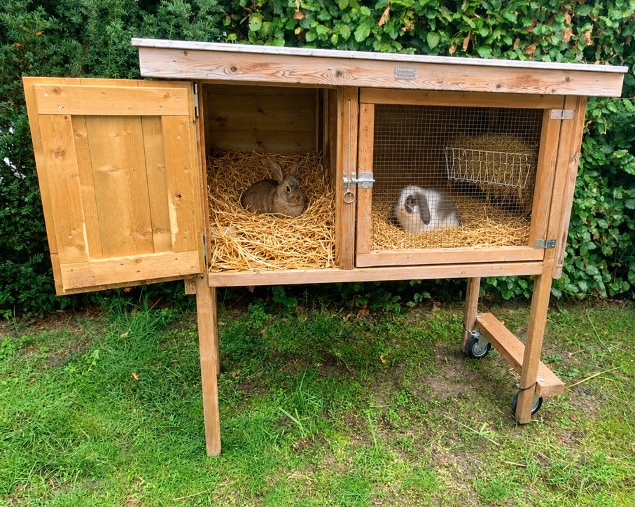 konijnenhok, 90 cm of meer, Hok, Ophalen, Cavia