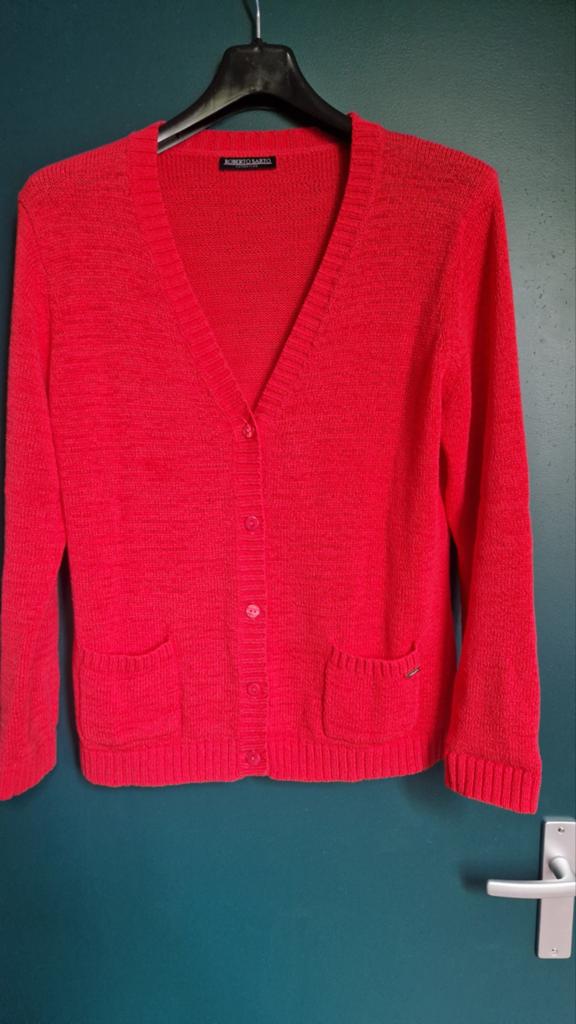 Roberto Sarto vest maat 42/44, Kleding | Dames, Truien en Vesten, Maat 42/44 (L), Ophalen of Verzenden, Zo goed als nieuw, Roberto Sarto