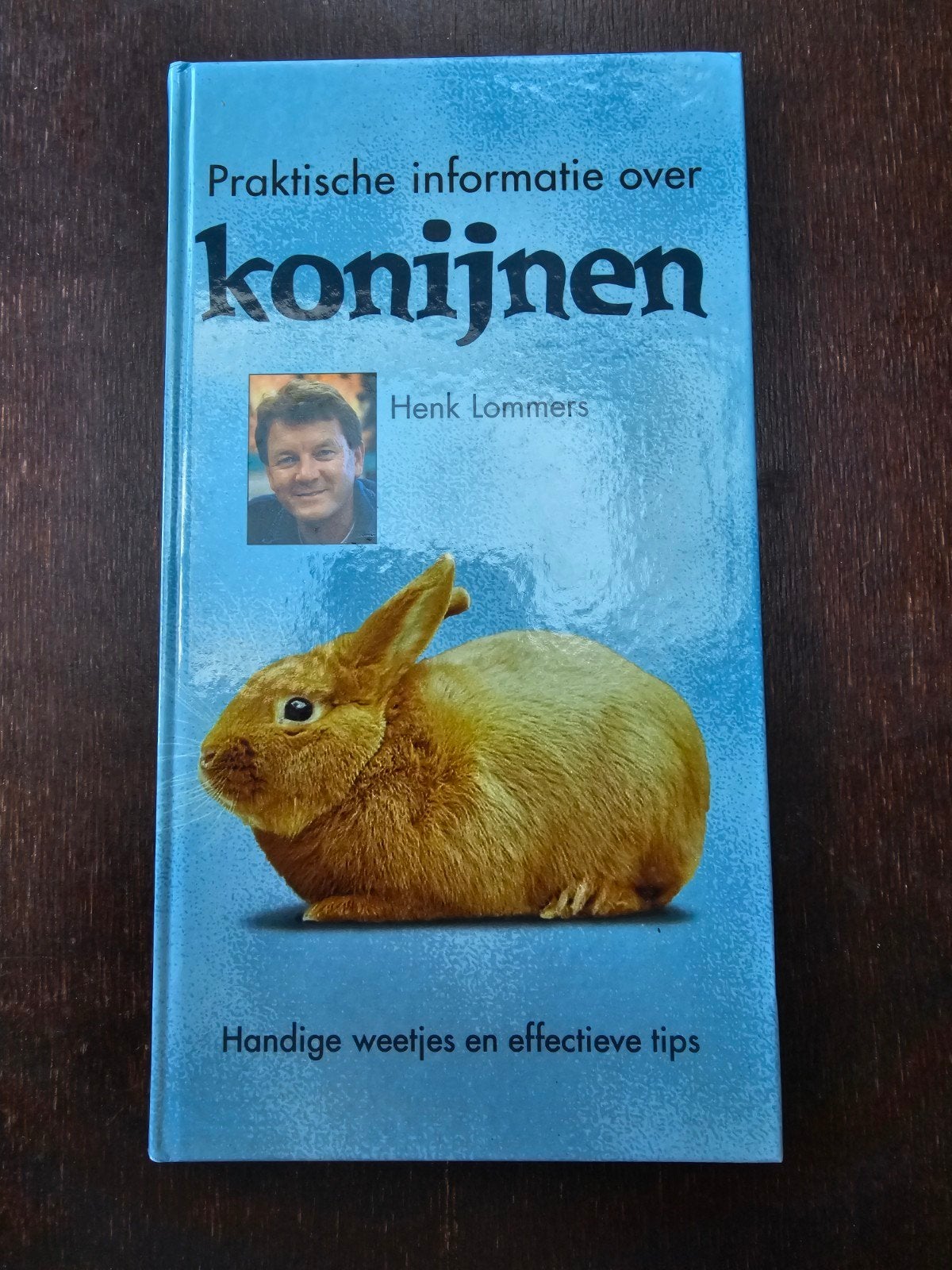 Praktische informatie over Konijnen - Henk Lommers, Boeken, Ophalen of Verzenden, Zo goed als nieuw, Konijnen of Knaagdieren, Henk Lommers
