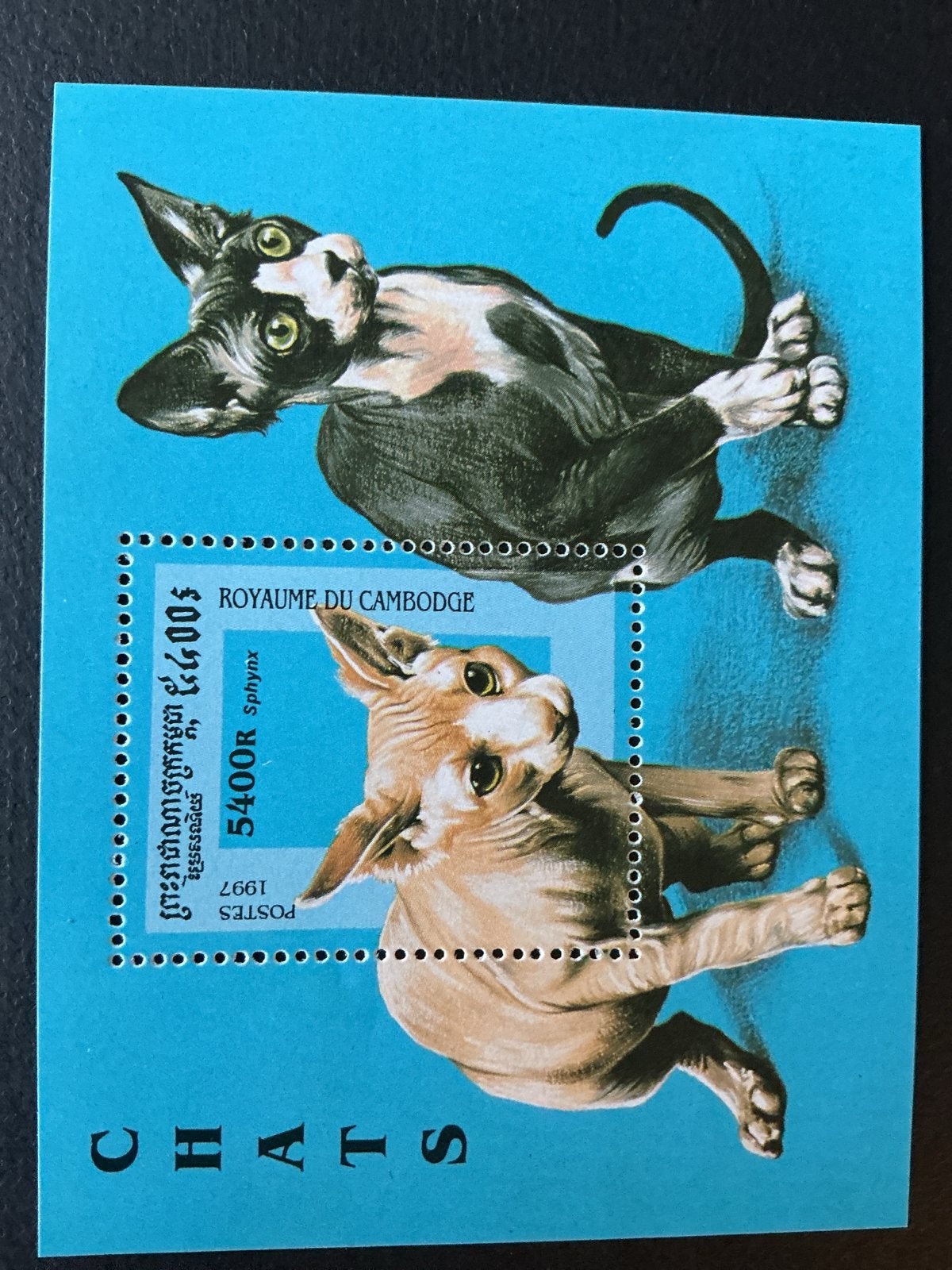 Katzen Cats Cambodja 1997 - Sphynx katten, Verzenden, Postfris, Dier of Natuur