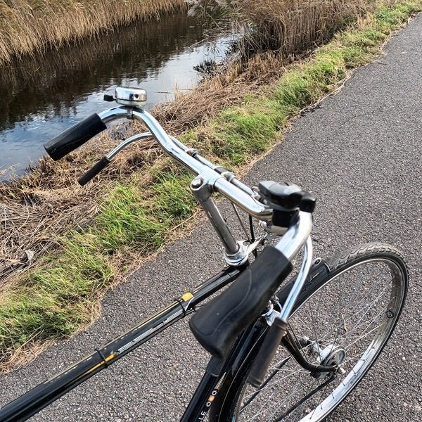 Gazelle tour populair  opa herenfiets H61 3V, Ophalen, Gebruikt, Versnellingen, 61 tot 65 cm