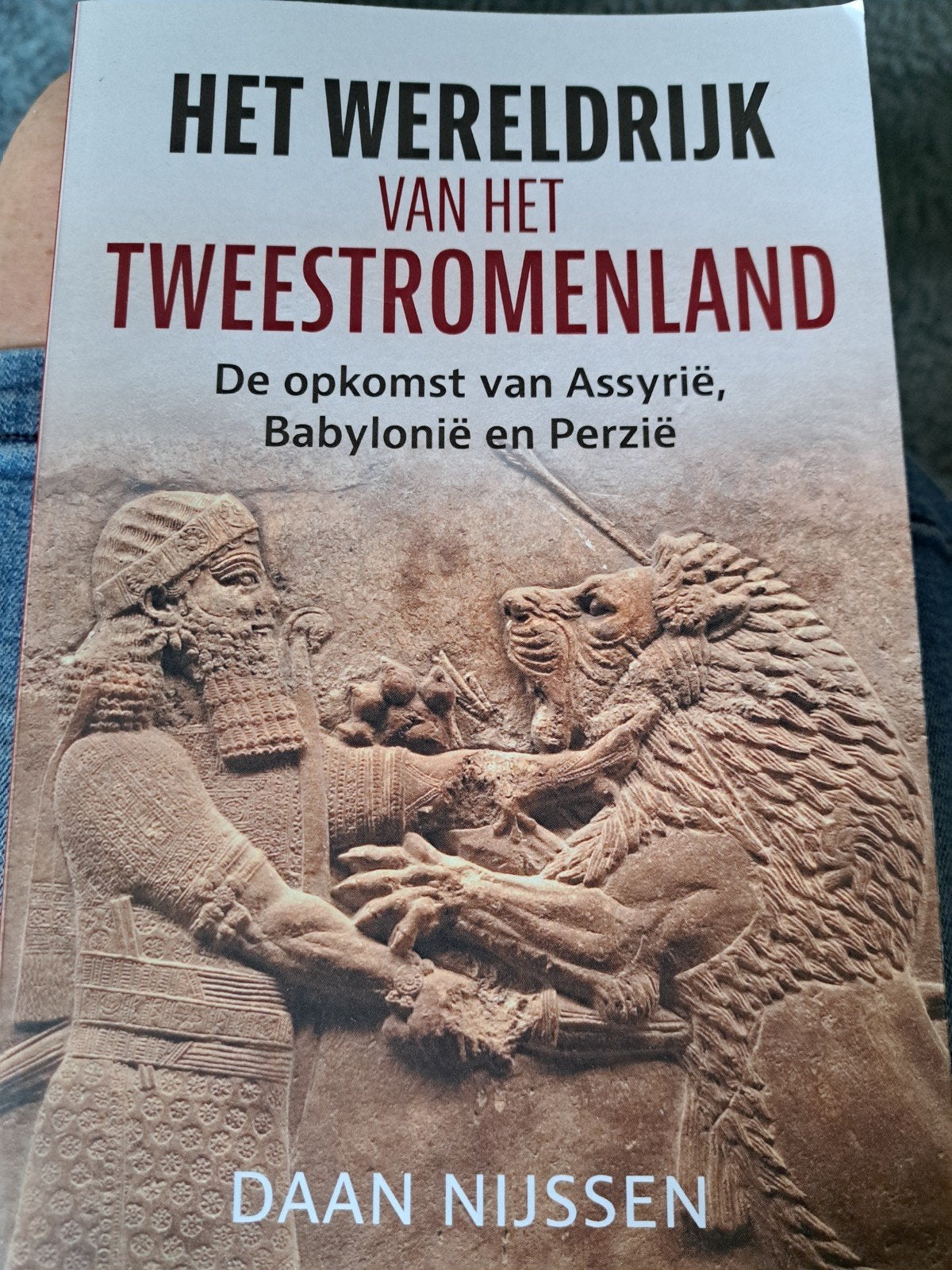 Daan Nijssen - Het wereldrijk van het Tweestromenland, Daan Nijssen, Europa, Ophalen of Verzenden, Zo goed als nieuw