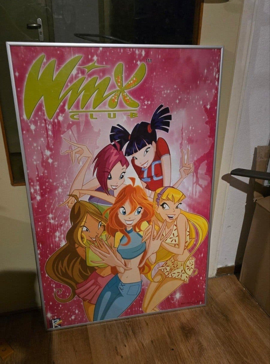 Vintage Winx Club Poster Seizoen 1 (2004) - Ingelijst, Ophalen, Rechthoekig Staand, Met lijst, Deurposter of groter